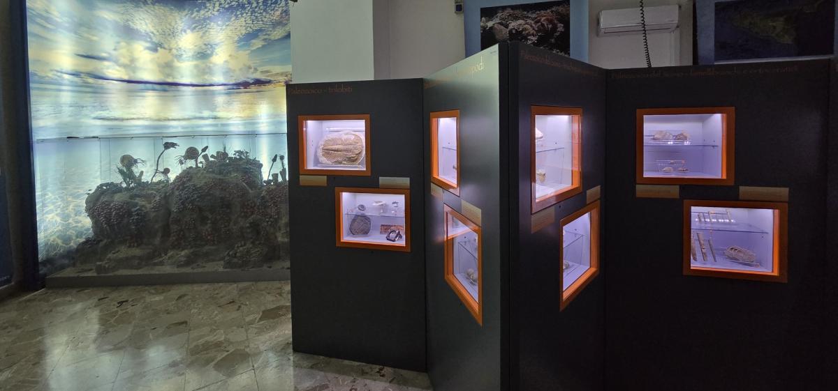 Sfoglia Gallery