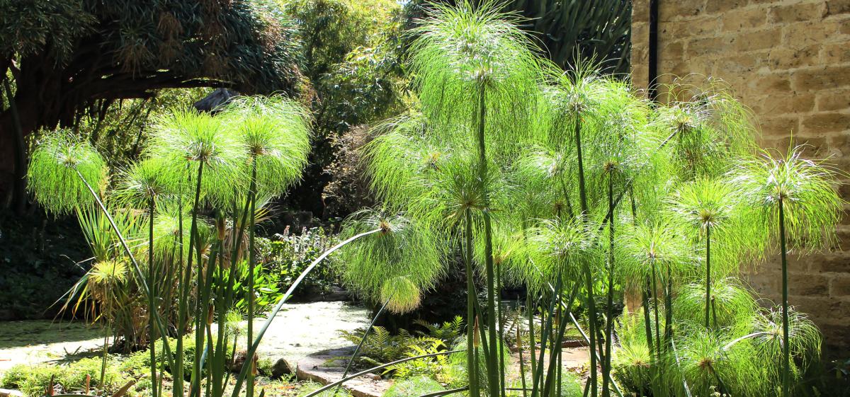 View Gallery