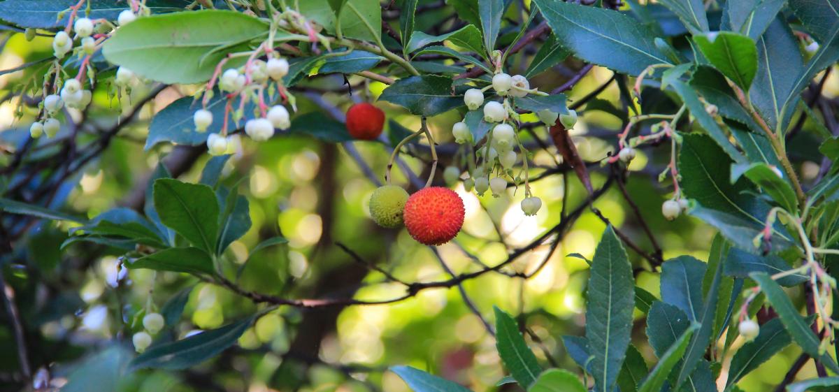 View Gallery