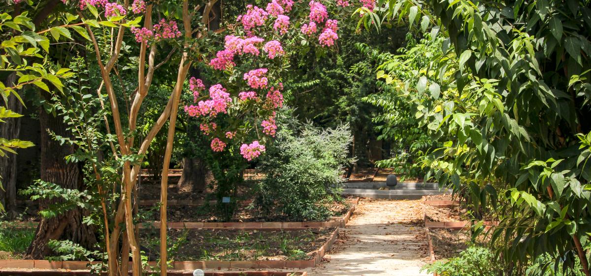 View Gallery