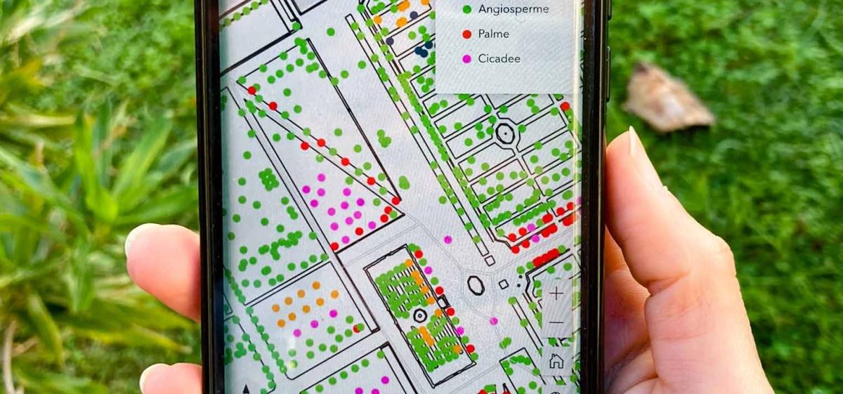 GISOrto - banca dati digitale del patrimonio vegetale in piena terra dell’Orto Botanico