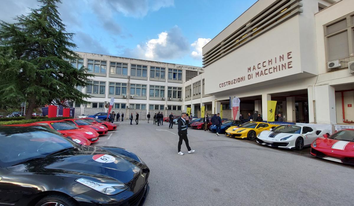 Sfoglia Gallery