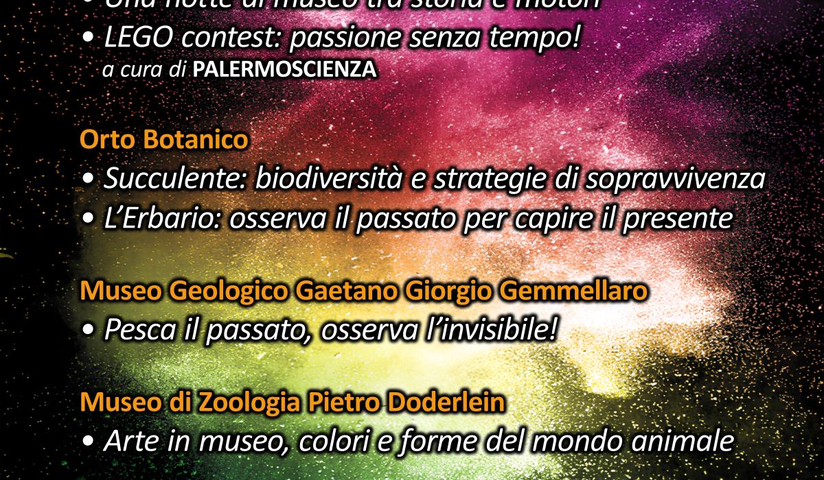 Sfoglia Gallery
