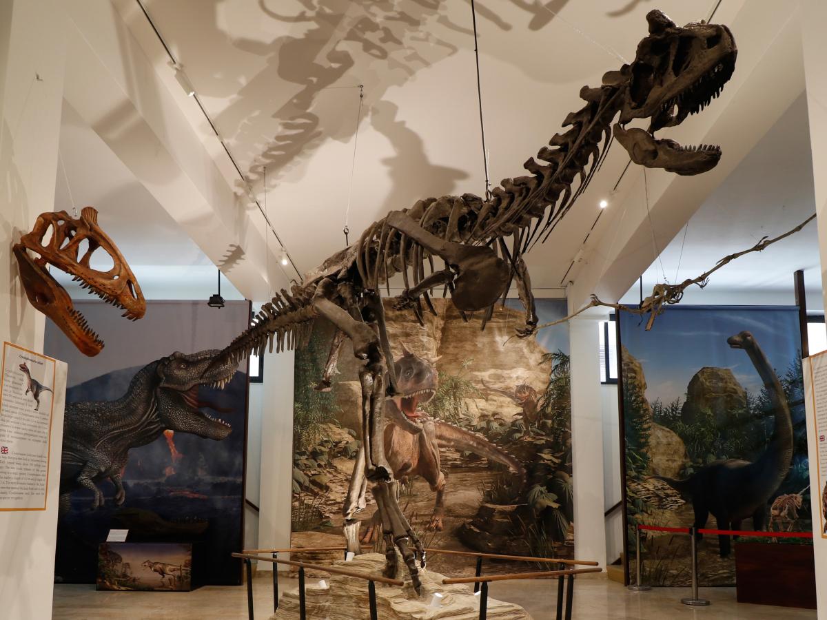 Carnotaurus Sastrei