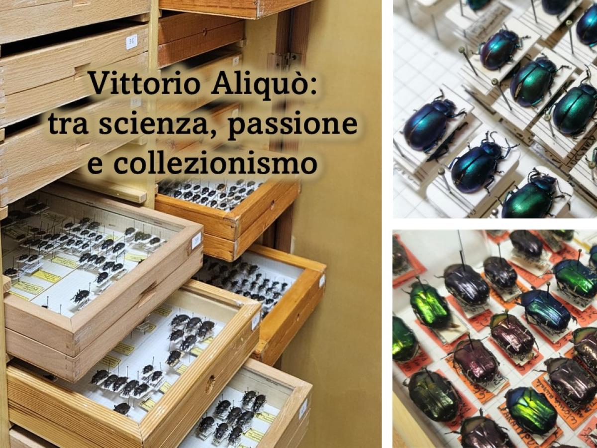 Locandina Vittorio Aliquò