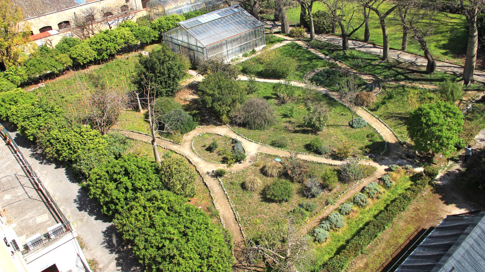 Giardino dei Semplici