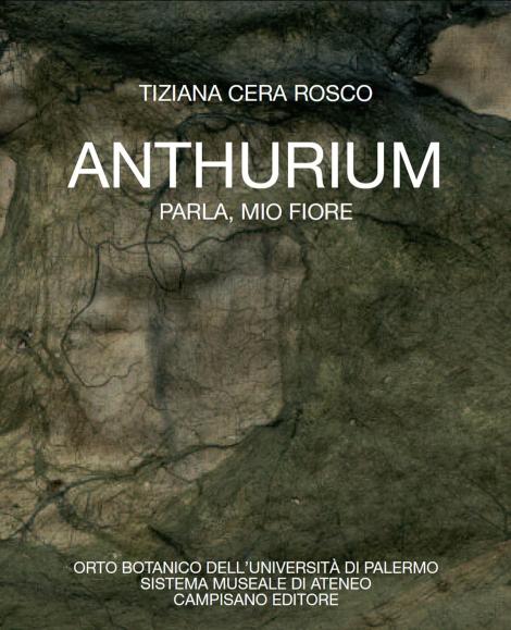 Anthurium. Parla, mio fiore