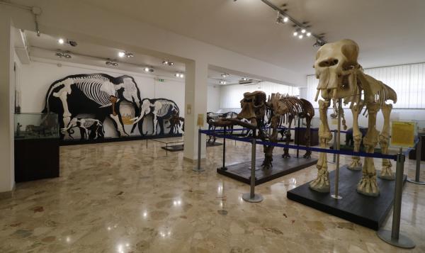 I 40 anni del Museo Gemmellaro, studiosi e ricercatori di tutta Europa a Palermo
