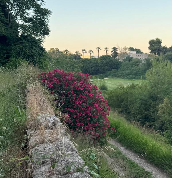Fossa della Garofala