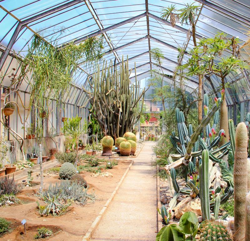 Serra delle Succulente