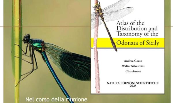 End-of-year meeting of the Sicilian Society of Natural Sciences